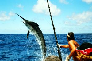 Fishing Tour