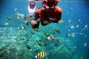 Raya Island ( Racha )